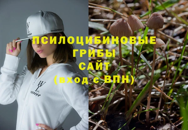 spice Алексеевка