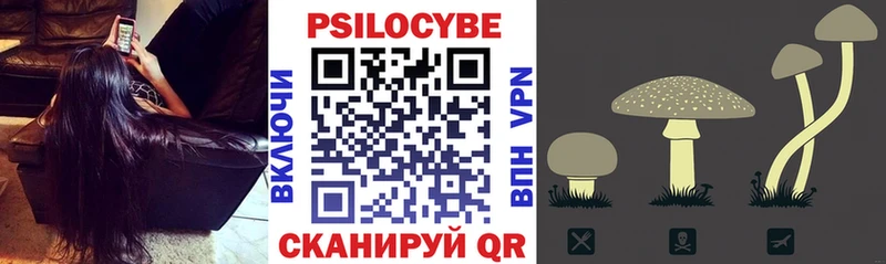 Галлюциногенные грибы GOLDEN TEACHER  Юрьев-Польский 